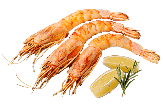 Image of Grilled langoustines